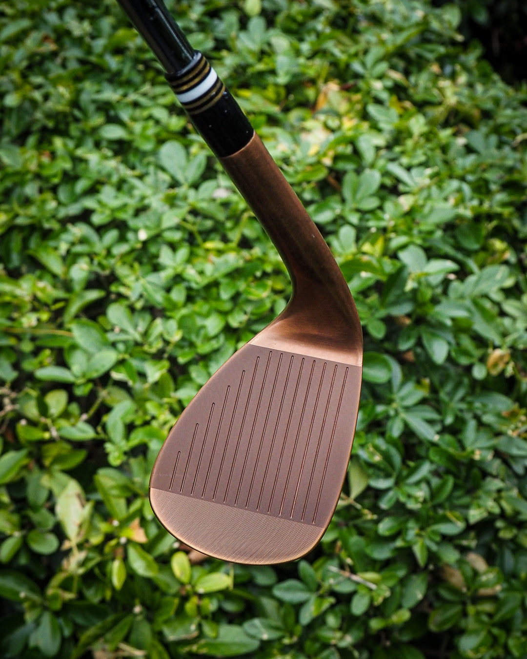 Brushed bronze wedge release - SINK GOLF