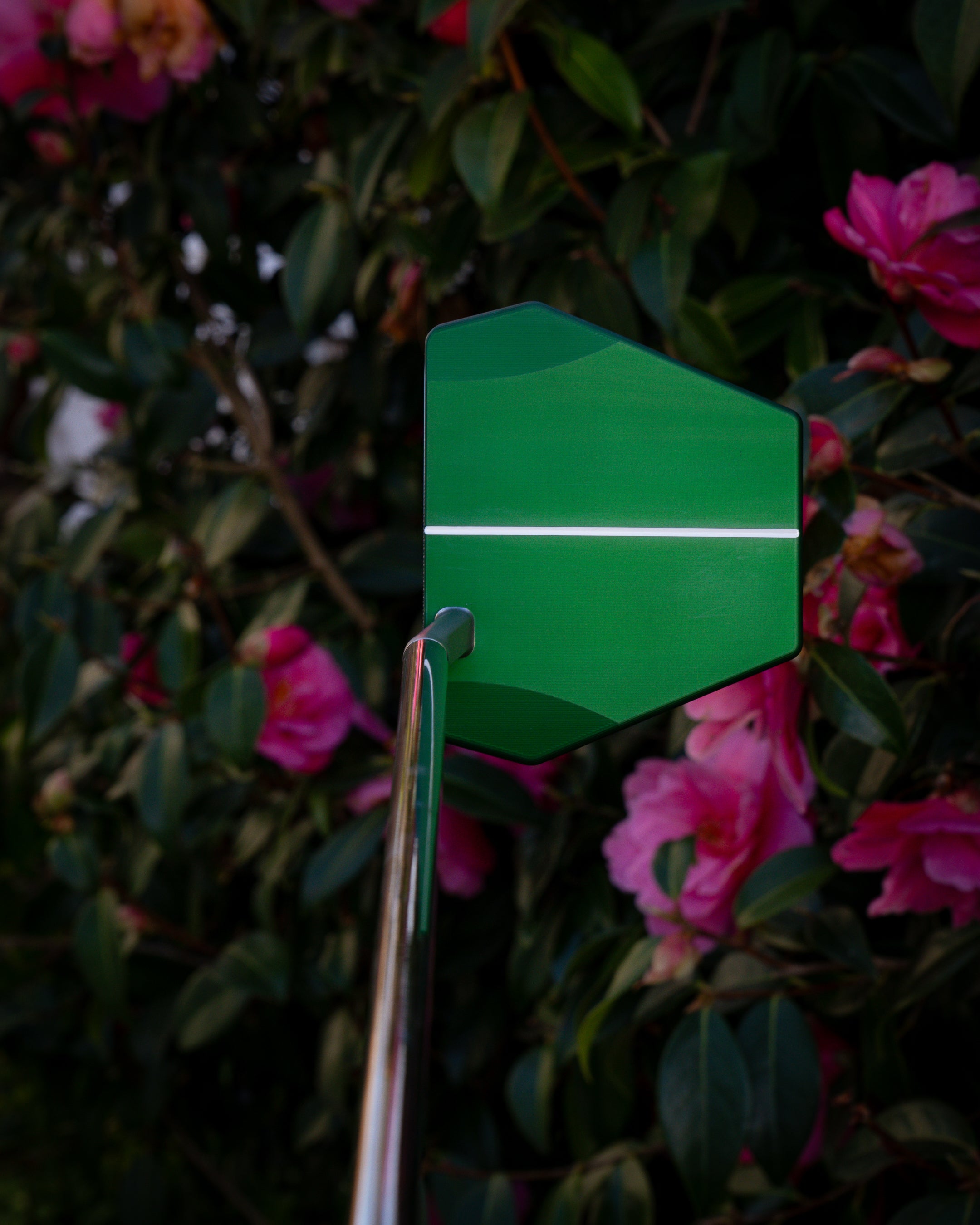 Springtime in Georgia - Short slant - SINK GOLF