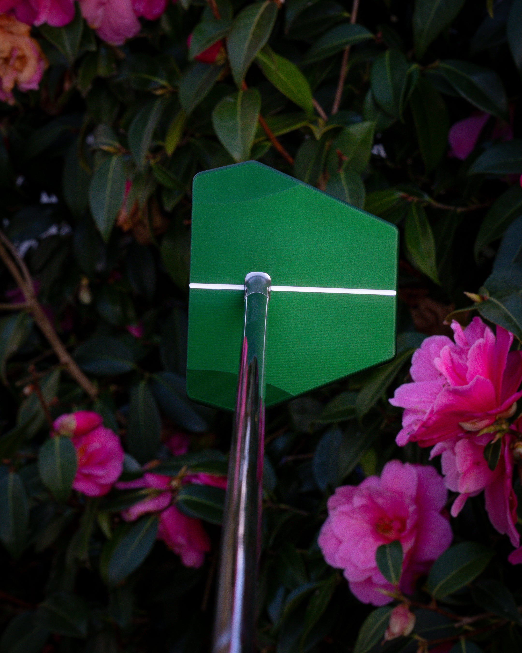 Springtime in Georgia - ZERO TORQUE - SINK GOLF