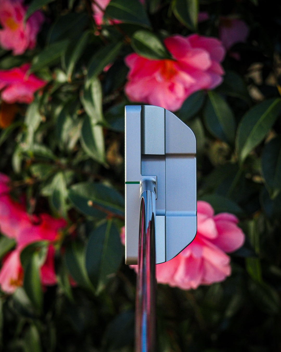 1 of 10 -  2025 Augusta release - SINK GOLF