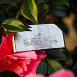 1 of 10 -  2025 Augusta release - SINK GOLF