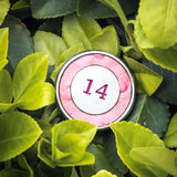 2024 AUGUSTA BALL MARKER - SINK GOLF