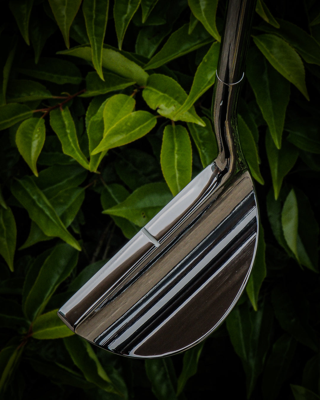 92/87 WB - LEFTY LOVE - SINK GOLF