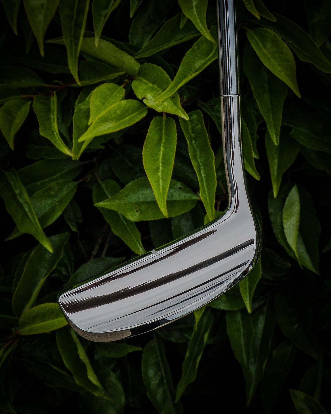 92/87 WB - LEFTY LOVE - SINK GOLF
