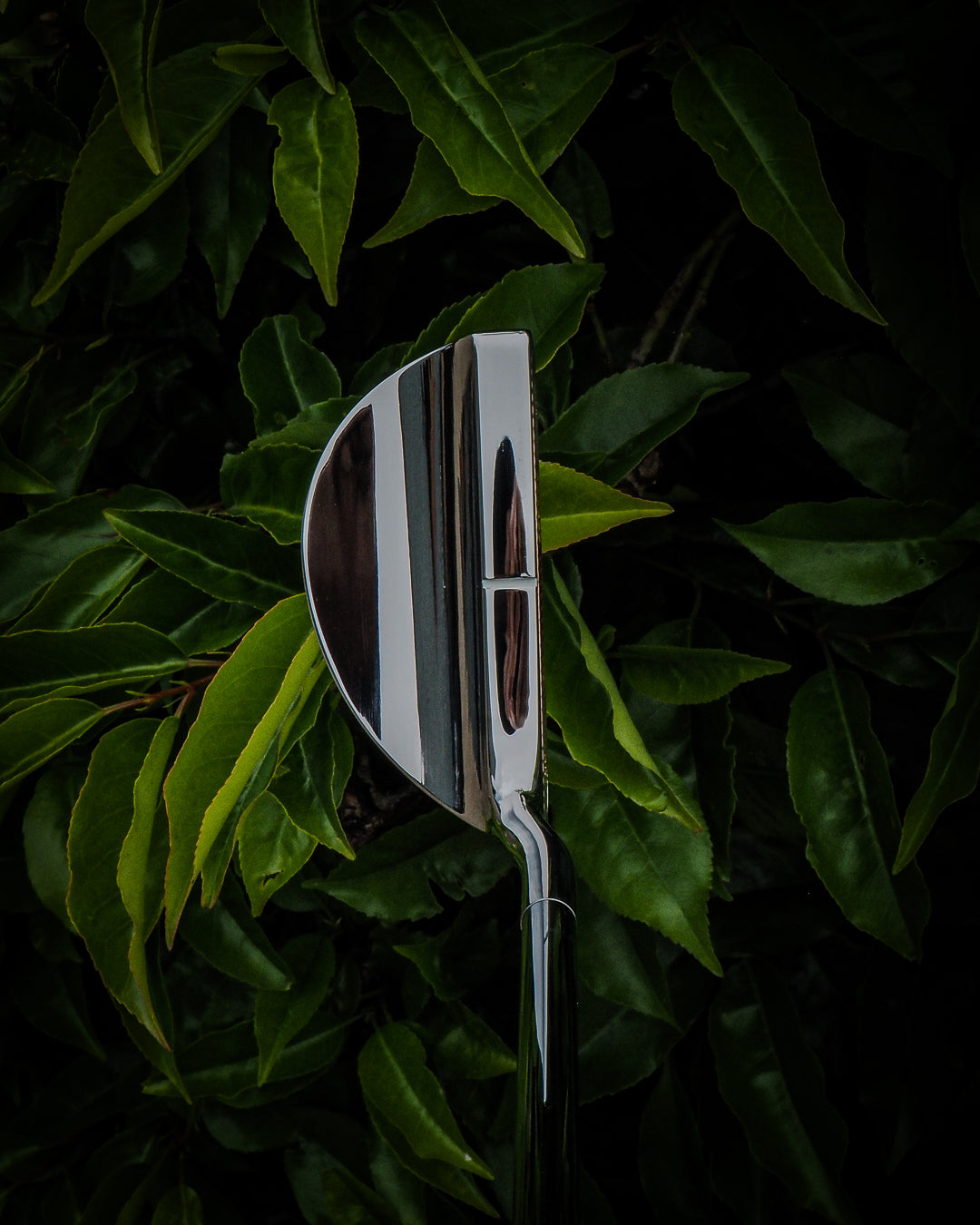 92/87 WB - LEFTY LOVE - SINK GOLF