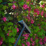 AUGUSTA THEMED PUTTER - SINK GOLF| UK MILLED PUTTERS 
