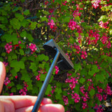 AUGUSTA THEMED PUTTER - SINK GOLF| UK MILLED PUTTERS 
